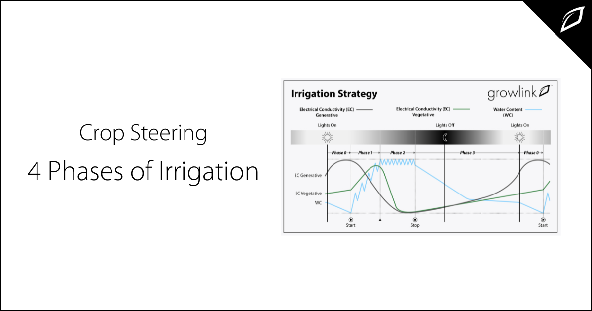 The 4 Phases of Irrigation in Crop Steering Growlink
